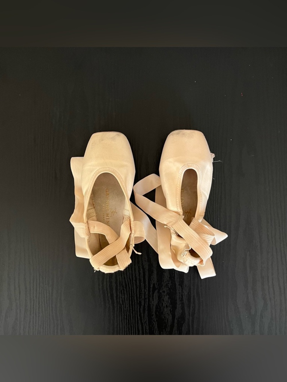 Gaynor Minden Pointe Shoes with Ribbons and Elastics

SC-8M5SDH